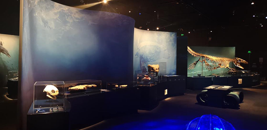 adidisplays